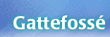 Gattefosse S.A.S